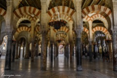Catedral de Córdoba - Mezquita